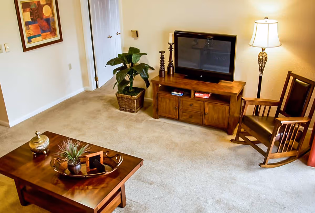 Cozy living room with a TV on a wooden console, rocking chair, coffee table, potted plant and floor lamp.