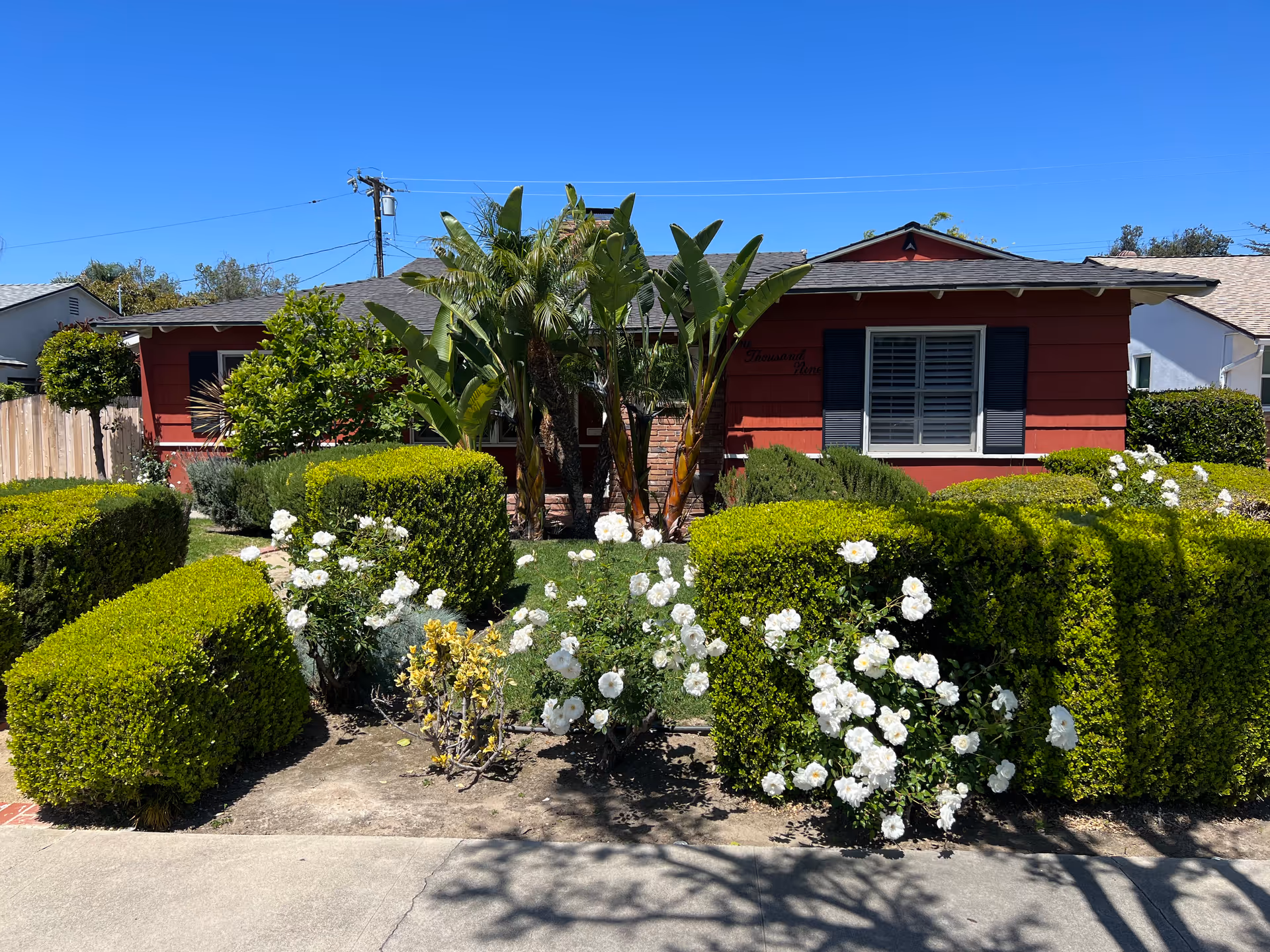 Front view of a single-story red house with black shutters and a well-maintained garden featuring trimmed green bushes, white flowers, and tall palm plants under a clear blue sky.