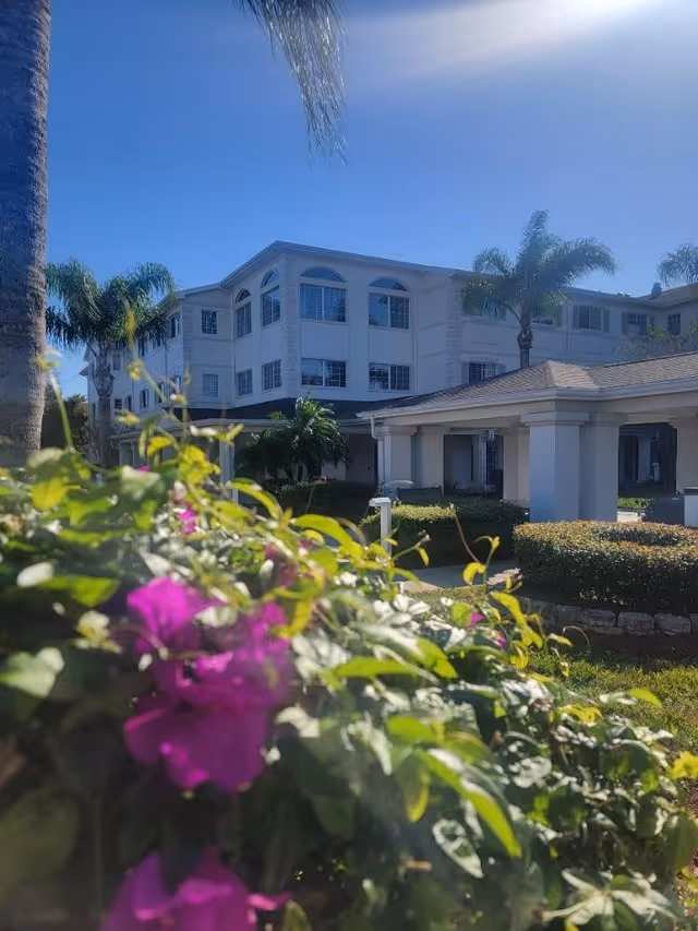 Exterior view of a multi-story white building with large windows, surrounded by palm trees and green bushes with purple flowers in the foreground under a clear blue sky.