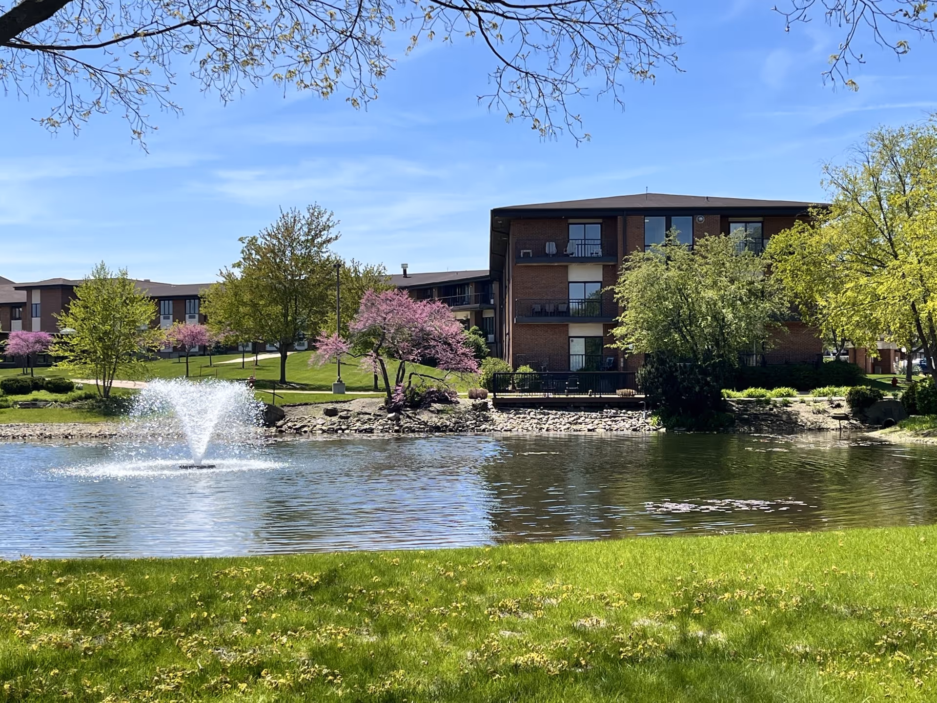 A scenic view of a senior living facility with a pond and fountain, surrounded by greenery and flowering trees.
