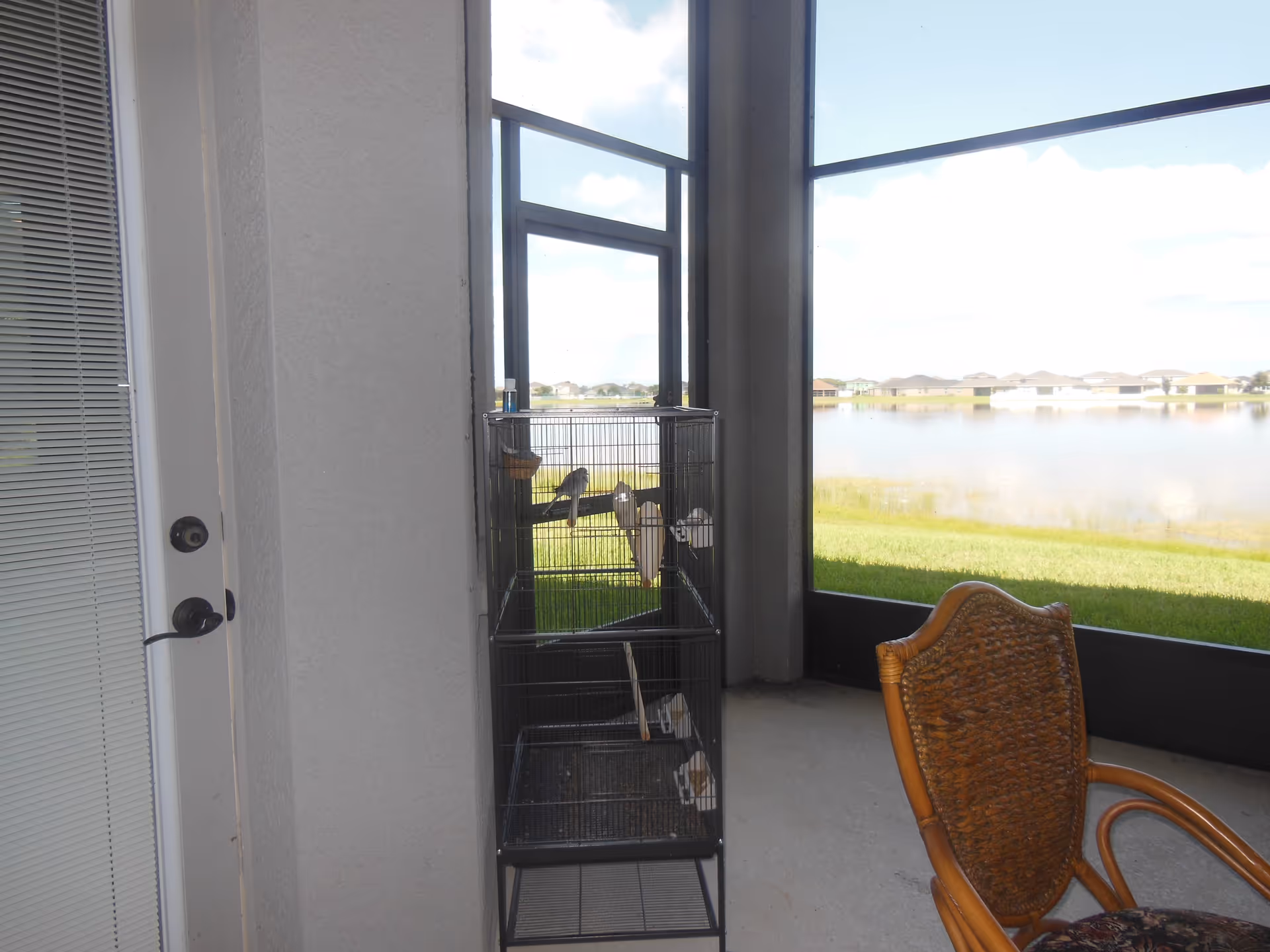 A screened-in porch area with a birdcage containing several birds, a wicker chair with a floral cushion, and a view of a grassy lawn and a lake with houses in the distance under a partly cloudy sky.