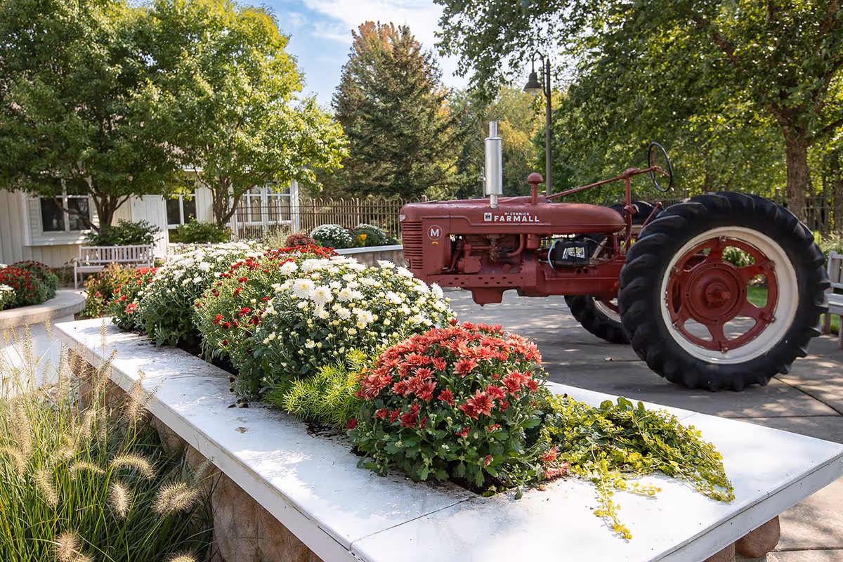 Outdoor garden area at Byron Manor featuring a raised flower bed with red, white, and pink flowers. A vintage red McCormick Farmall tractor is parked on a paved path nearby. Trees and benches are visible in the background under a partly cloudy sky.