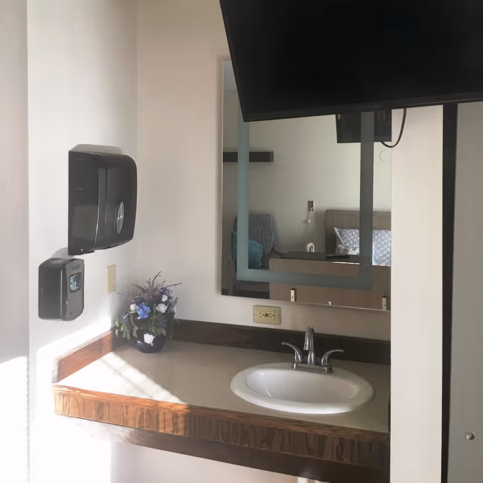 A small sink area with a countertop, a faucet, a mounted soap dispenser, and a paper towel dispenser. There is a decorative flower arrangement on the counter. A mirror above the sink reflects part of a room with a bed and a chair. A television is mounted on the wall above the sink area.