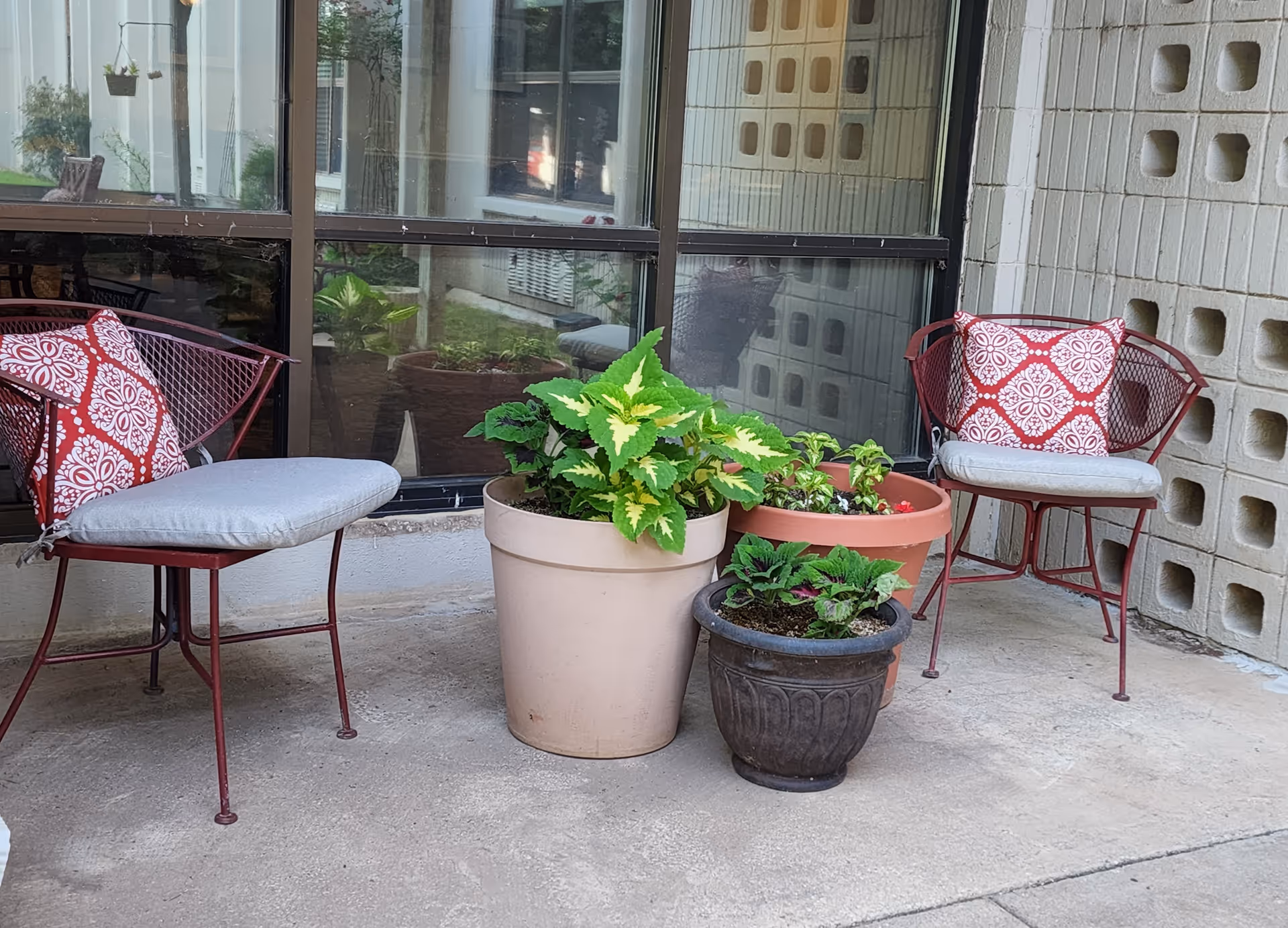 Outdoor seating area with two red metal chairs with gray cushions and red patterned pillows, three potted plants with green foliage placed on the concrete ground, and a window with reflections in the background.