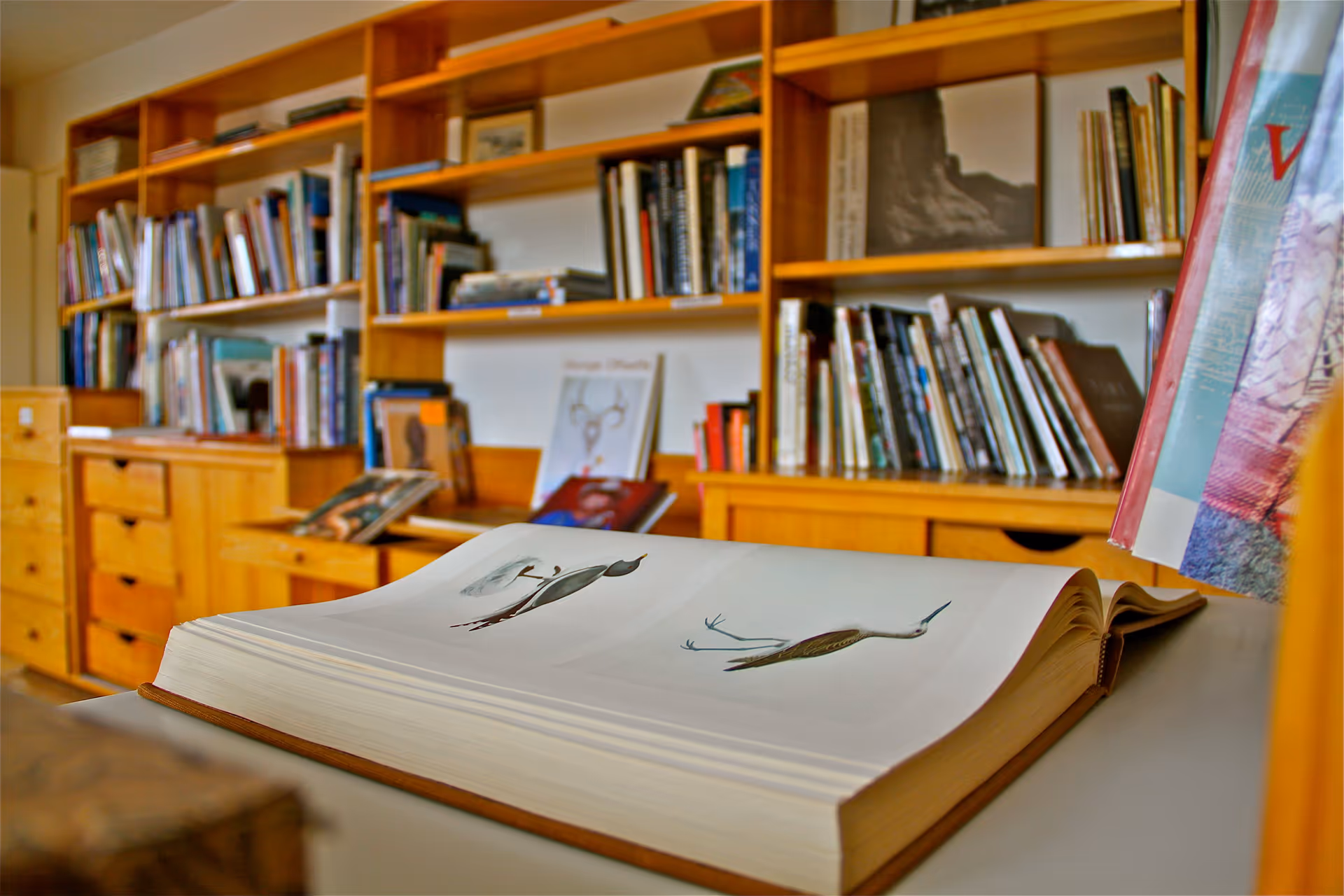 A cozy room with wooden bookshelves filled with books and a large open book on a table displaying illustrations of birds.