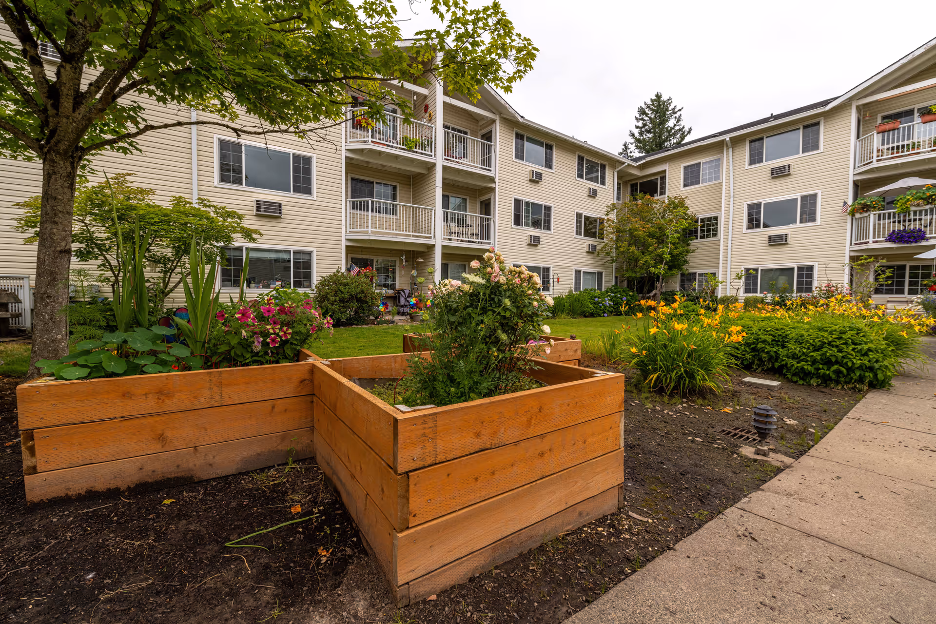 Outdoor garden area with raised wooden flower beds containing various plants and flowers, surrounded by a paved walkway. In the background, there is a multi-story beige residential building with balconies and windows, some decorated with potted plants.