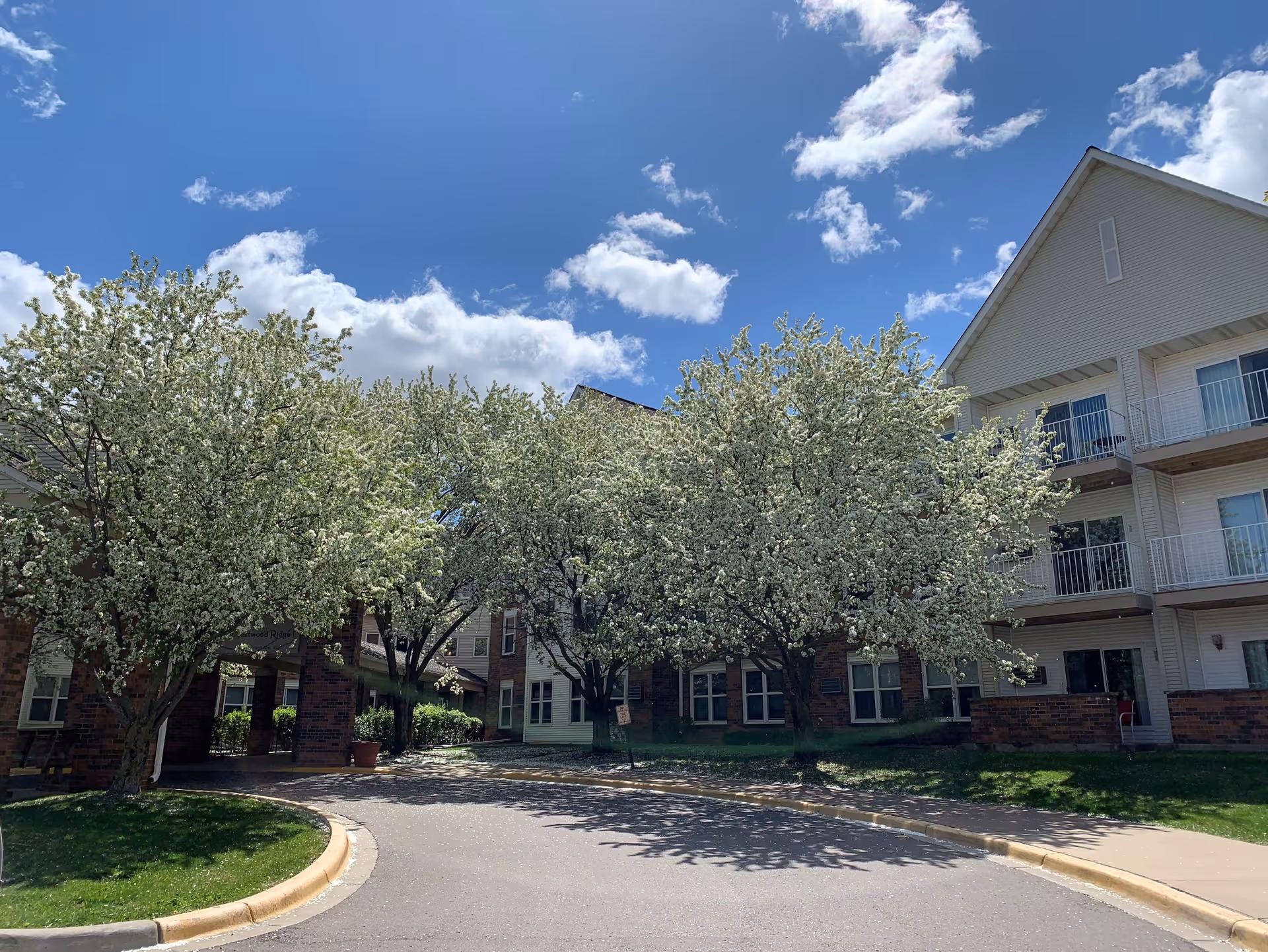Exterior view of Westwood Ridge 1 by Vivie facility with blooming trees lining the driveway under a bright blue sky with scattered clouds. The building has multiple balconies and brick and siding exterior.