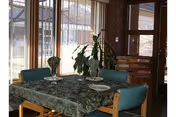 Small dining area with a table covered by a green tablecloth set for four, green cushioned chairs, a potted plant, and large windows with vertical blinds.