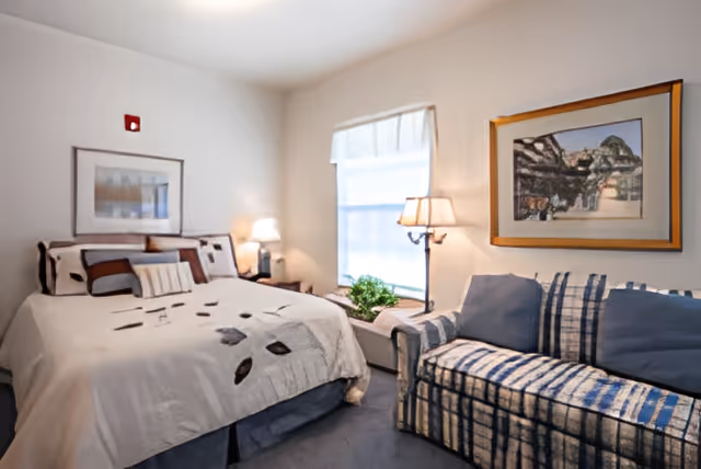 A cozy bedroom featuring a bed with a white and brown patterned comforter, several pillows, a framed picture above the bed, a window with a sheer curtain, a small table lamp, a potted plant on the windowsill, and a blue and white striped couch with blue cushions. Another framed picture hangs on the wall above the couch.
