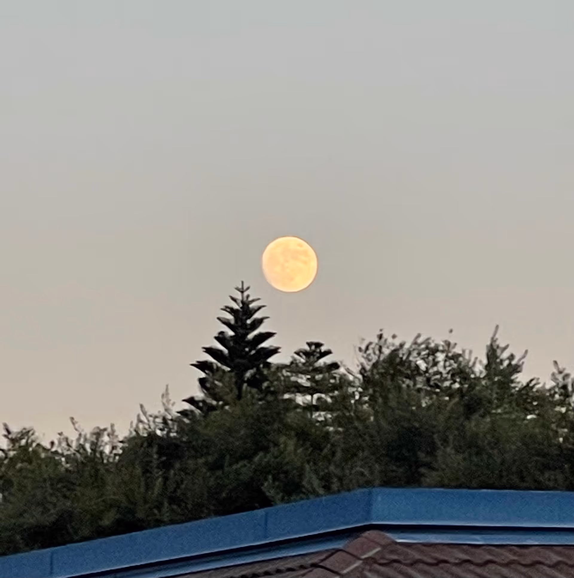 Full moon rising above trees with a building roof in the foreground.