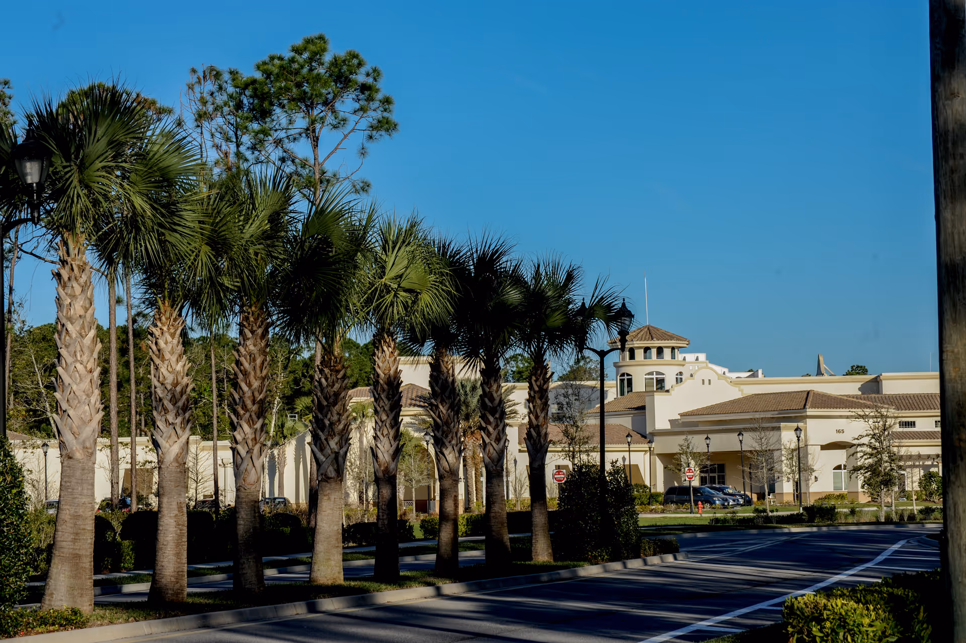 Exterior view of the Silver Creek facility with a row of palm trees lining the driveway under a clear blue sky.