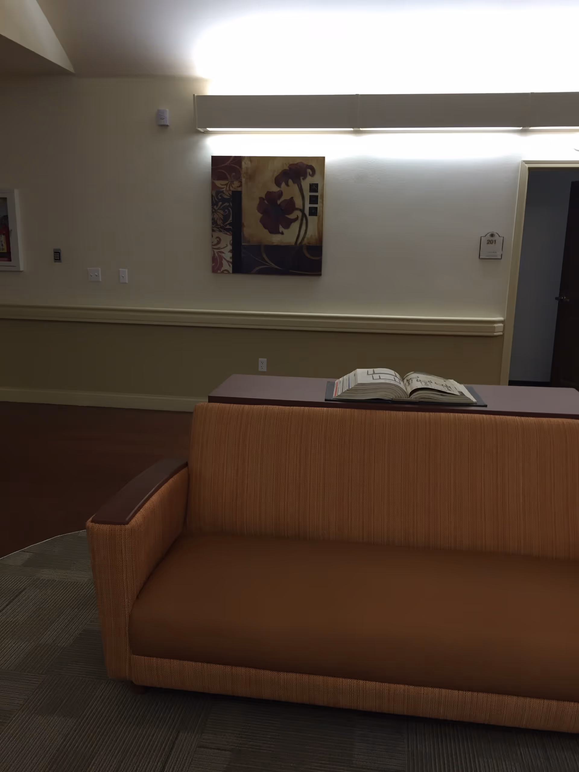 Indoor seating area with an orange upholstered sofa, a table with an open book, wall art, and a hallway door marked 201.