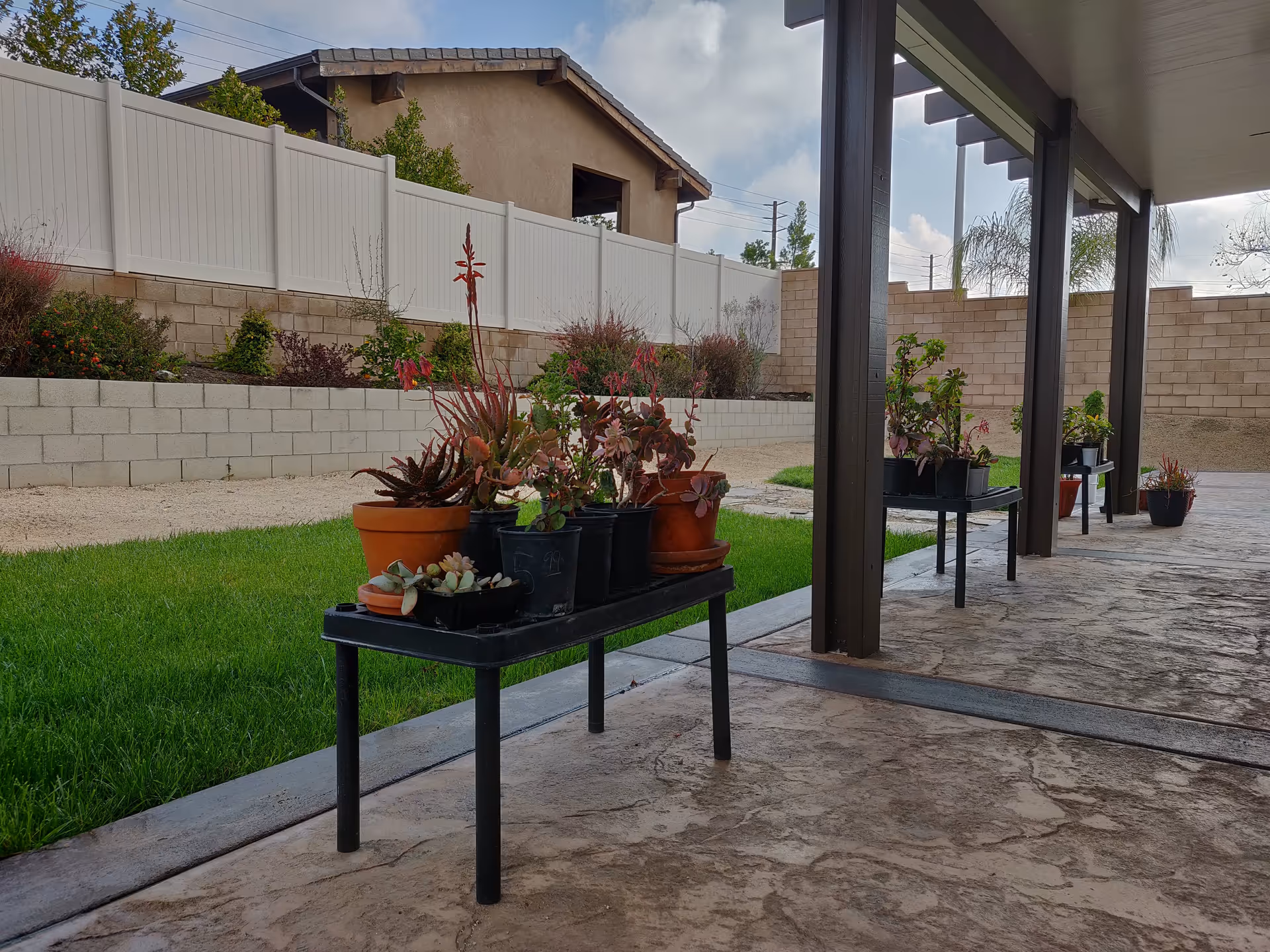 Covered patio with several potted succulent plants on small benches beside a grassy yard and retaining wall.