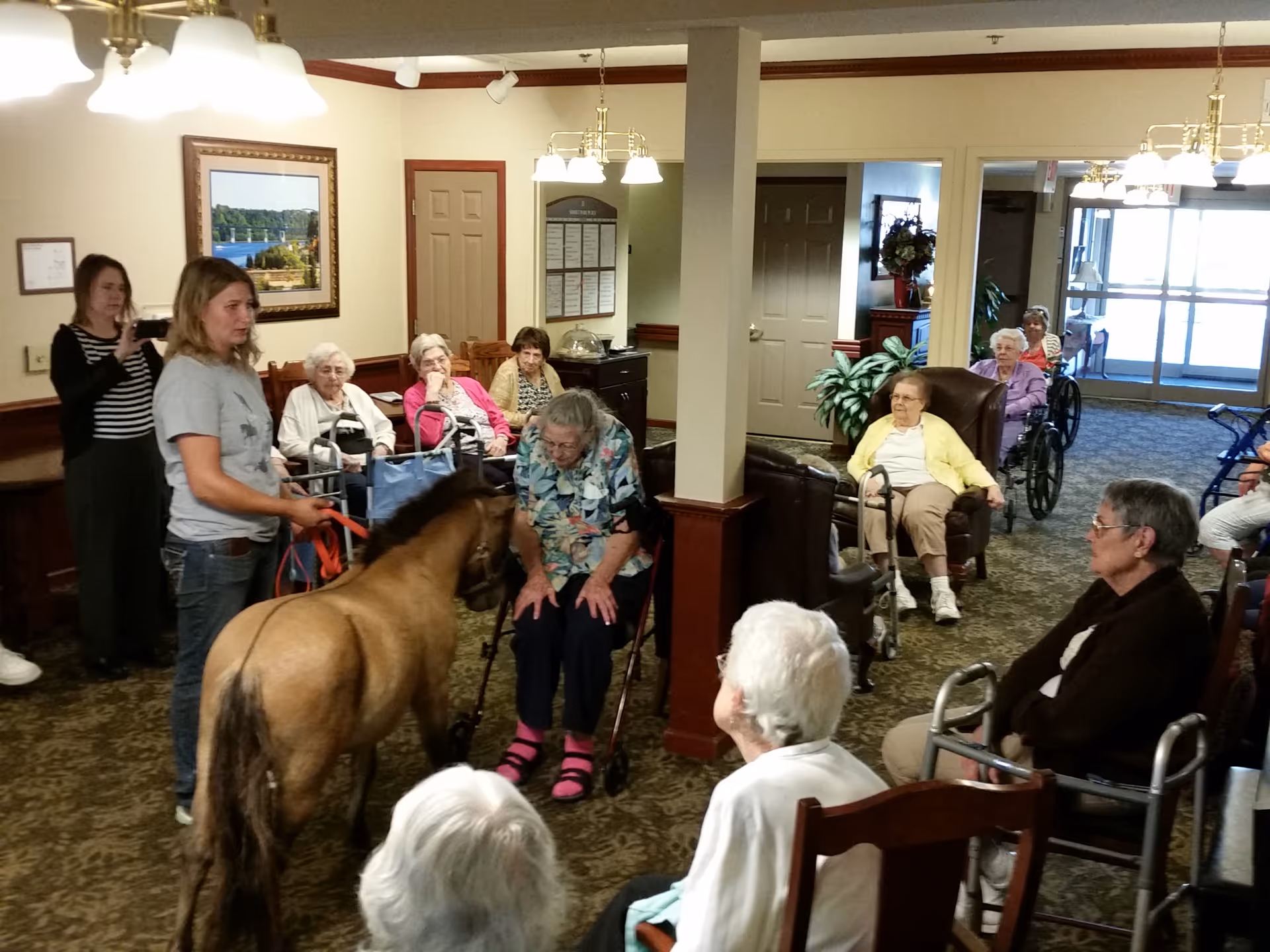 A group of elderly residents seated in a communal lounge watch a woman lead a small pony through the room.