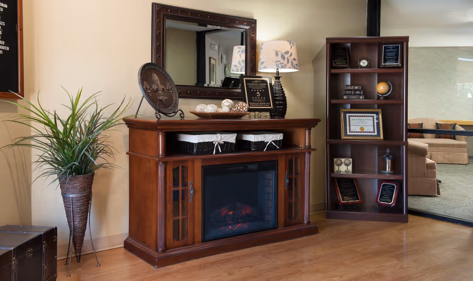 Cozy lounge area with a wooden electric fireplace console topped by a mirror and lamp, a potted plant to the left and a bookshelf to the right.