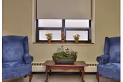 Two blue upholstered armchairs flank a wooden coffee table with a floral centerpiece beneath a window with a closed shade and small potted plants on the windowsill.