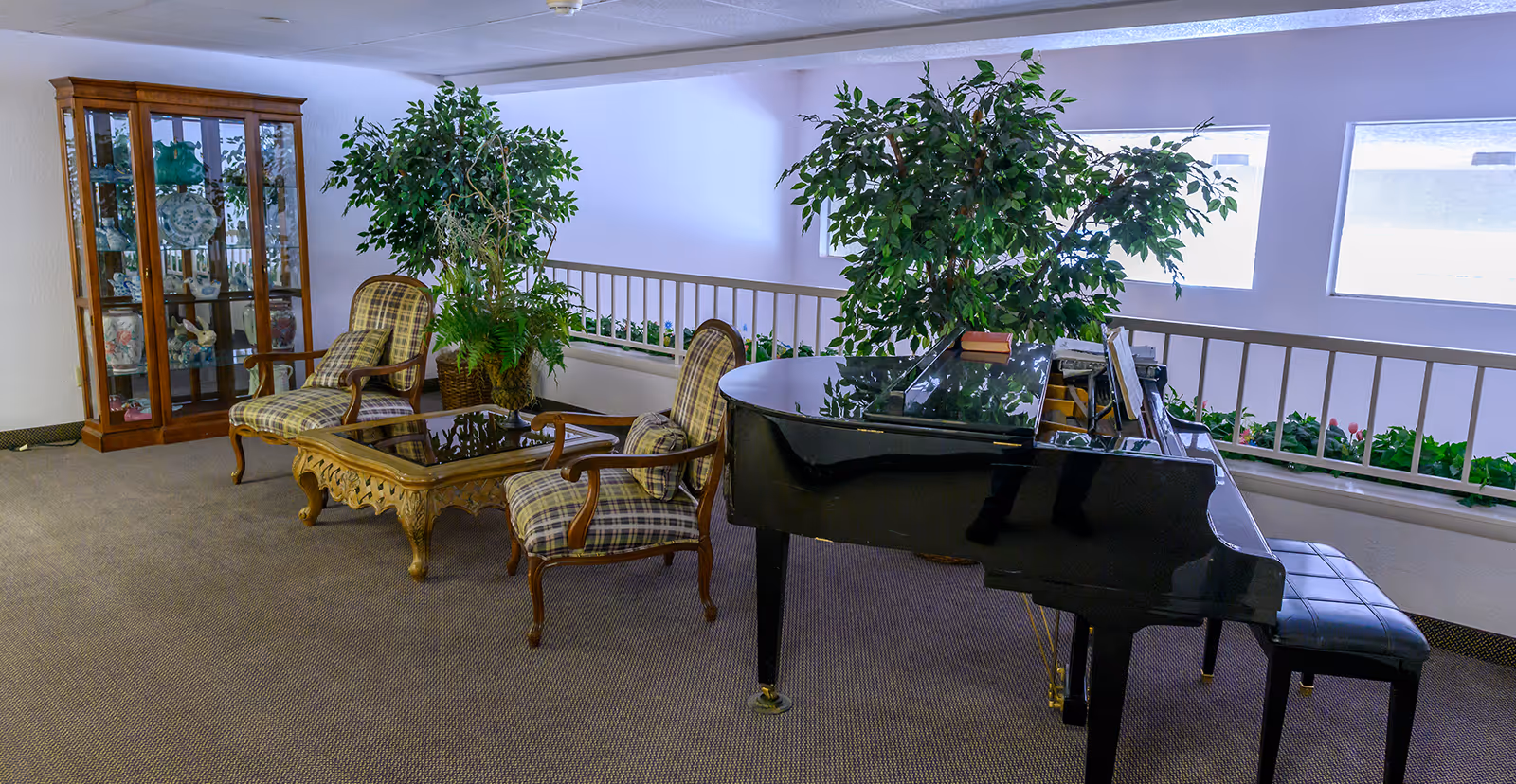 Seated lounge area with a black grand piano, upholstered chairs, a glass coffee table, a display cabinet, and potted plants in a carpeted indoor space.
