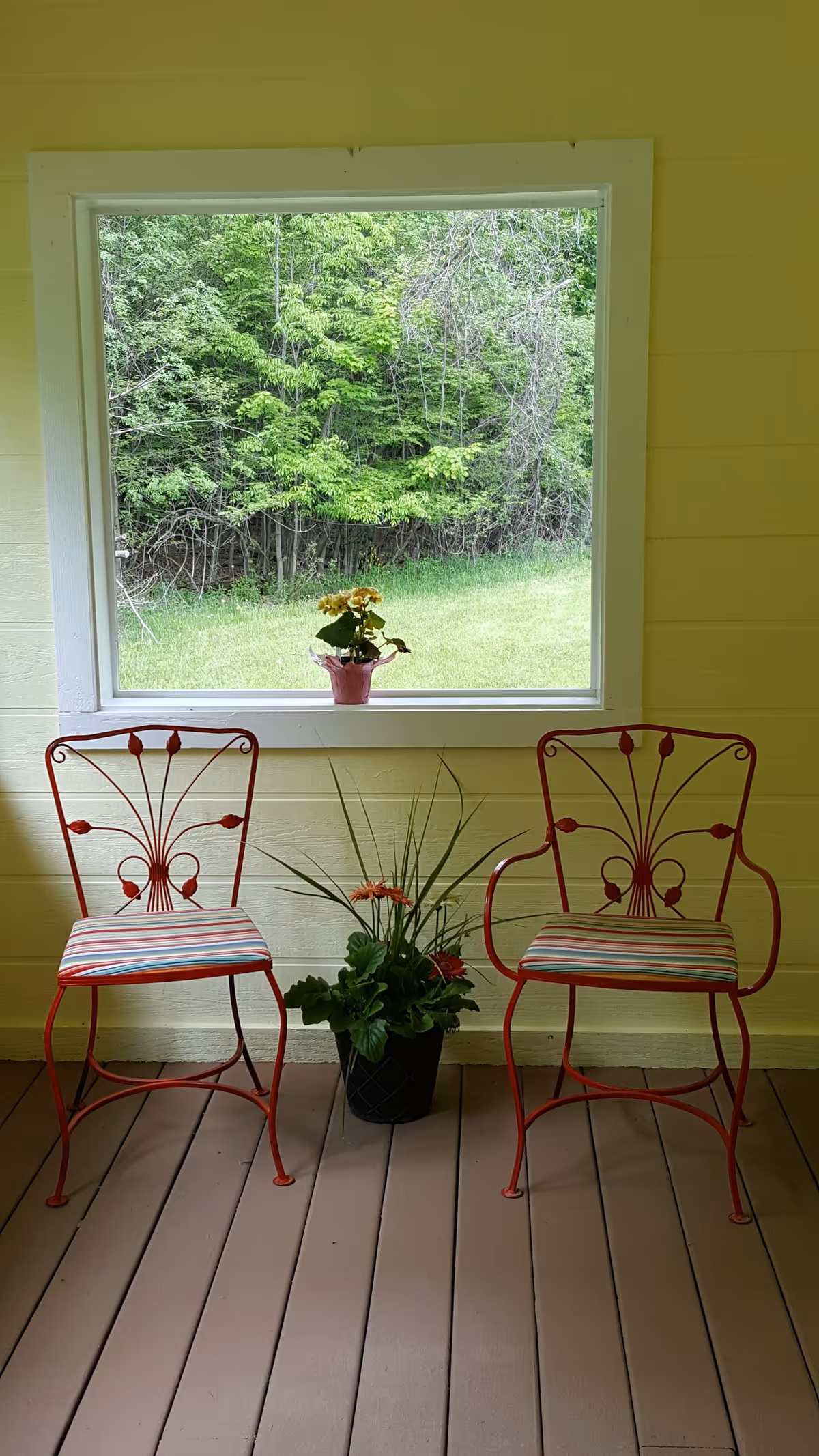 Two red metal chairs with striped cushions are placed on a wooden floor in front of a large window. A small potted plant with yellow flowers sits on the window sill, and a larger potted plant with green leaves and orange flowers is positioned between the chairs. Outside the window, green trees and grass are visible.