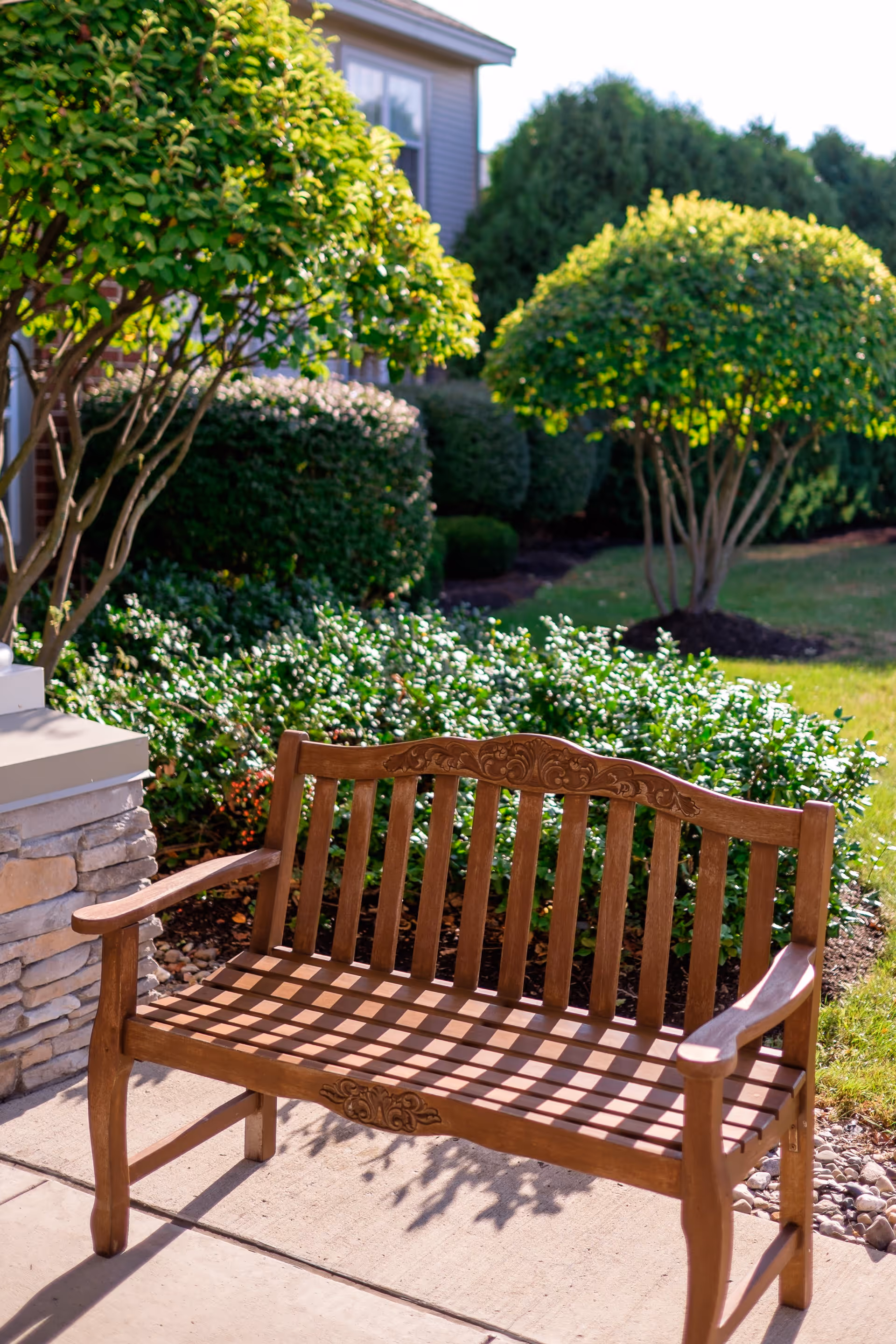 A wooden bench with decorative carvings sits on a concrete pathway surrounded by well-maintained green bushes and small trees in a garden area outside a building.
