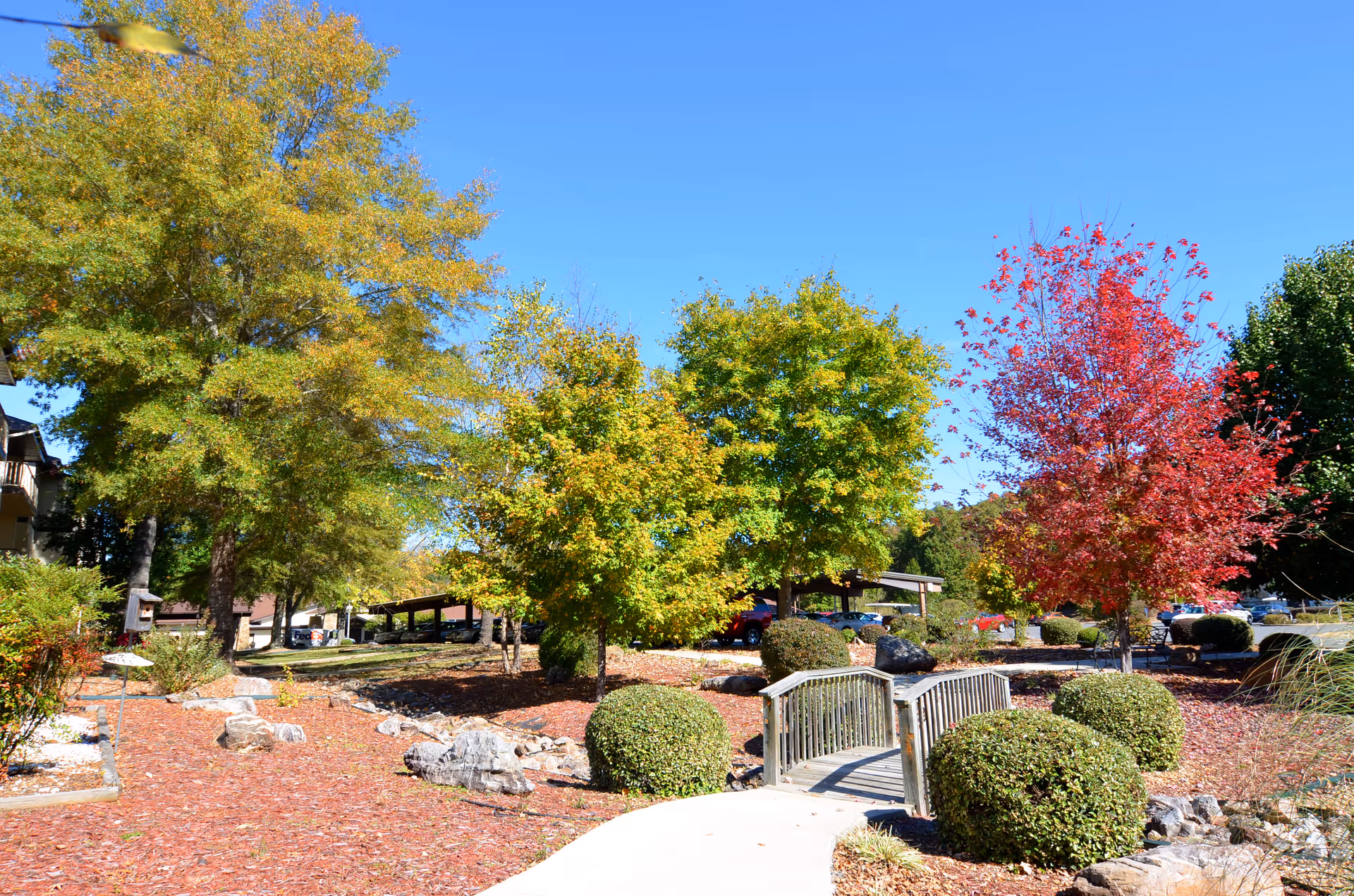 A landscaped outdoor area at Lake Forest Senior Living at Hot Springs Village featuring a small wooden footbridge over a dry creek bed, surrounded by neatly trimmed bushes and trees with green and red autumn foliage under a clear blue sky.