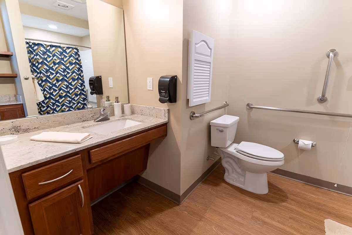 Accessible bathroom with a countertop sink on the left, toilet with grab bars on the right, and a shower with a patterned curtain in the background.