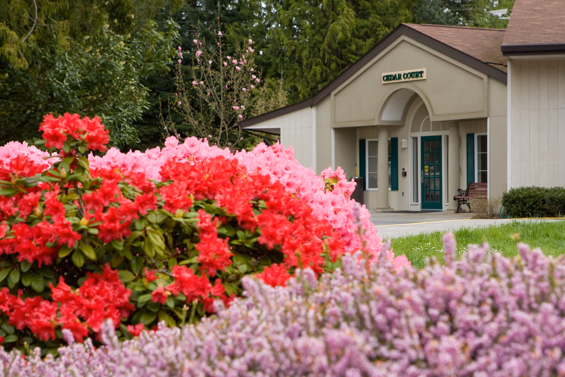 Colorful blooming flowers in red, pink, and purple in the foreground with a beige building labeled 'Cedar Court' in the background, surrounded by green trees and grass.