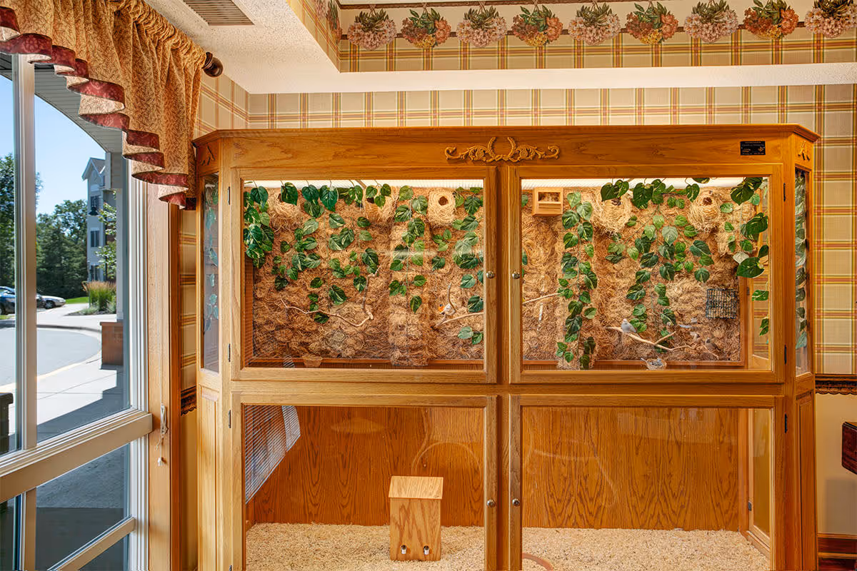 A large wooden bird enclosure inside a room with plaid wallpaper and floral border near the ceiling. The enclosure has glass panels and contains branches, green leaves, and bird nests. A window with a curtain is visible on the left side, showing an outdoor view with a building and trees.