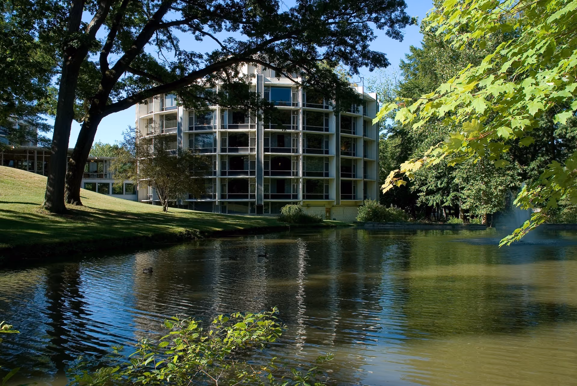 A modern multi-story building with large windows situated beside a pond surrounded by green trees and grass under a clear blue sky.