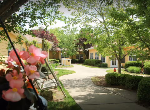 A sunny outdoor courtyard area at Belvedere Commons of Franklin featuring a paved walkway surrounded by green trees, bushes, and yellow buildings. Pink flowers are visible in the foreground on the left side, and there is a swing set near the walkway.