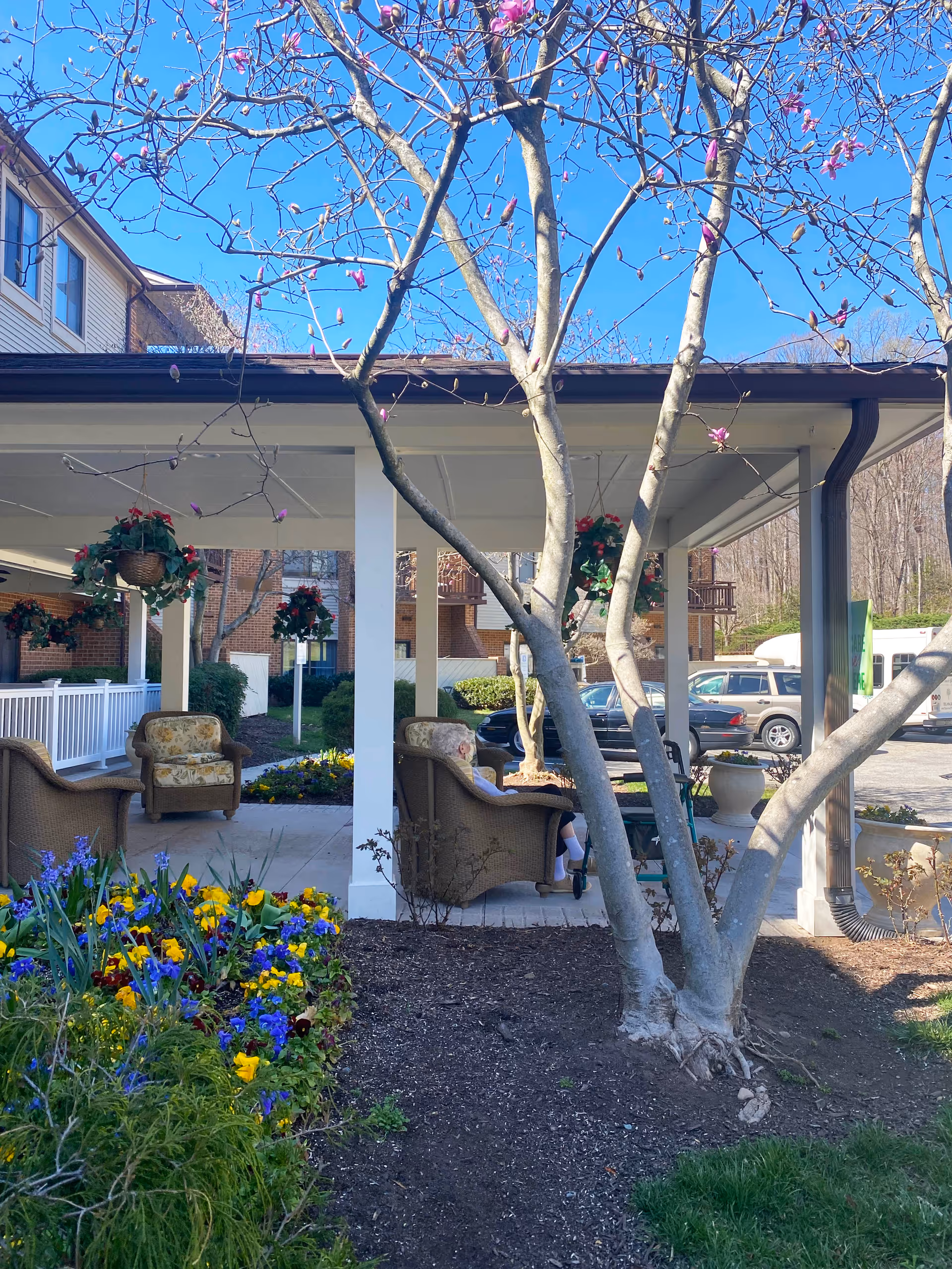 Outdoor covered seating area with wicker chairs and floral cushions at Potomac Place Assisted Living and Memory Care. There are hanging flower baskets, blooming flowers in a garden bed, and a tree with budding pink flowers in the foreground. Cars and part of the building are visible in the background under a clear blue sky.