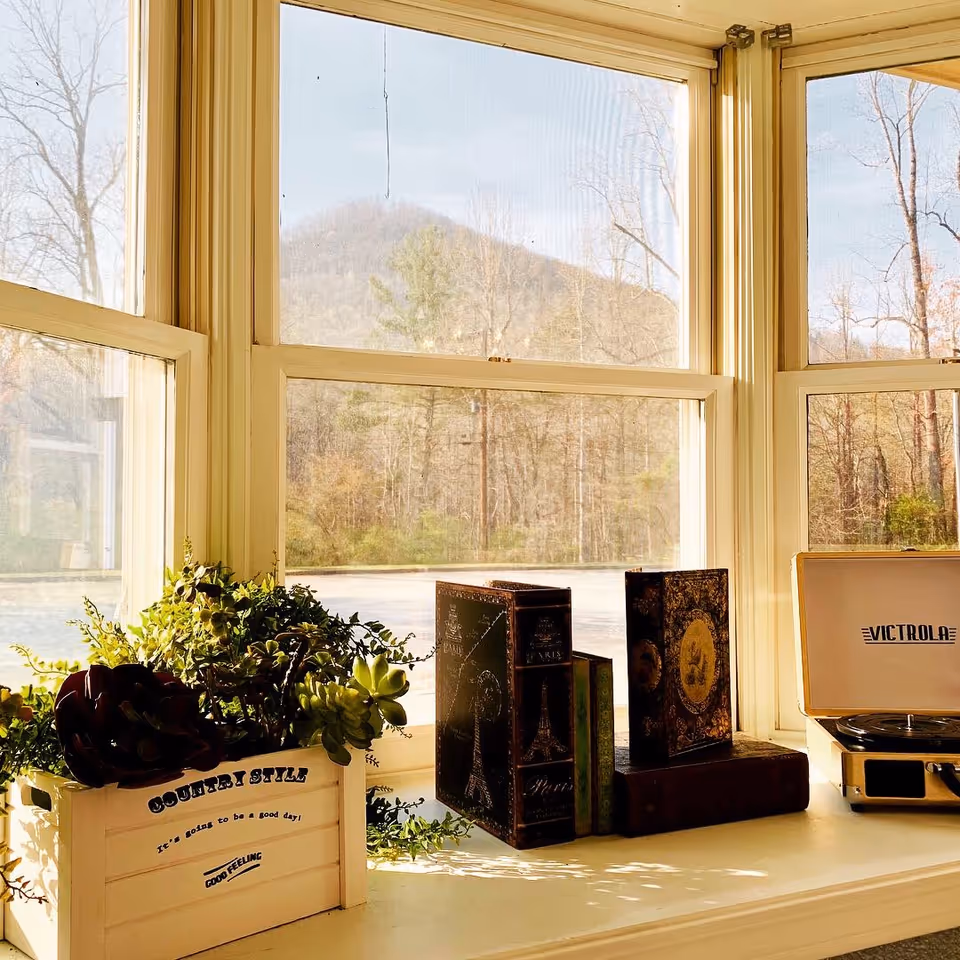 A bright window sill decorated with a white planter box containing green succulents and other plants, vintage-style decorative books, and a Victrola record player. Outside the window, leafless trees and a mountain are visible under a clear sky.