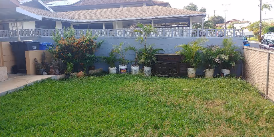 A small outdoor yard area with green grass, several potted plants lined up against a gray concrete wall, a wooden storage box, and a chain-link fence on the right side. In the background, there are neighboring houses and some parked cars visible.