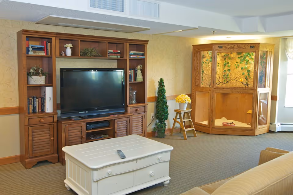 A cozy common room featuring a wooden entertainment center with a TV, a white coffee table, seating, and a large wooden terrarium/aviary.