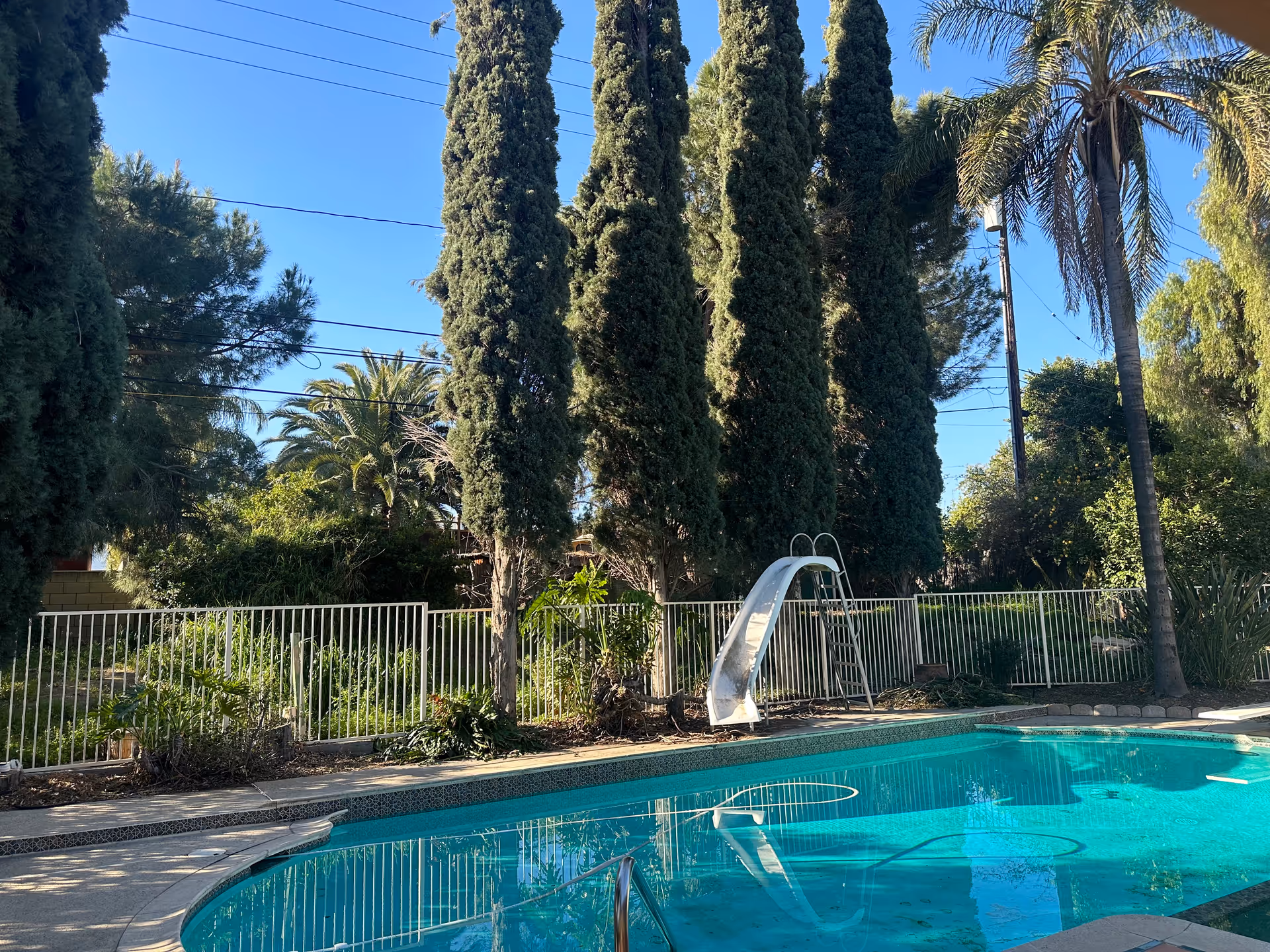 Outdoor swimming pool with a metal slide and ladder, surrounded by a white fence and tall trees including palm trees under a clear blue sky.