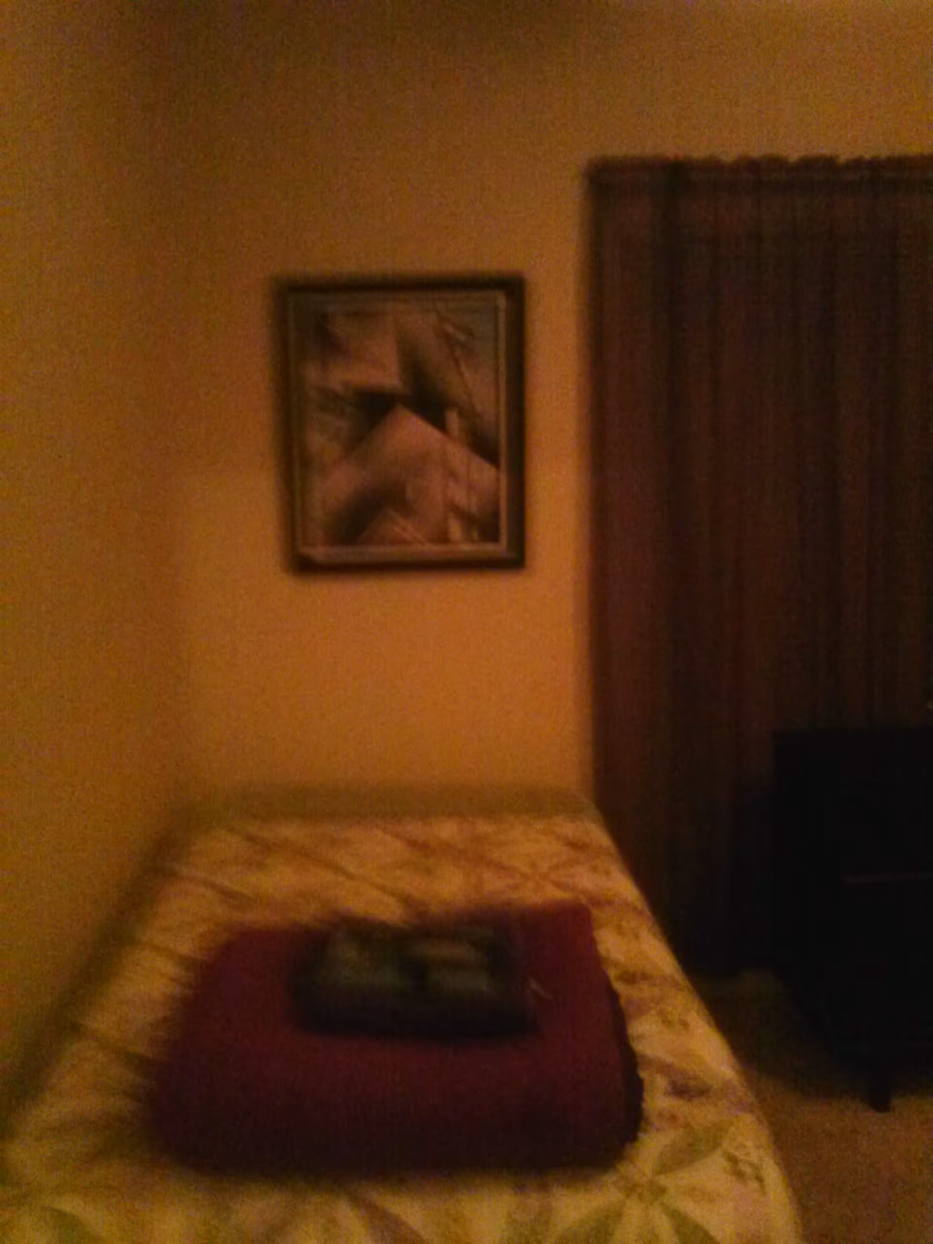 A dimly lit bedroom with a single bed covered in a floral patterned bedspread. A folded dark red blanket and some items are placed on the bed. There is a framed abstract painting on the wall above the bed and dark curtains covering a window to the right.