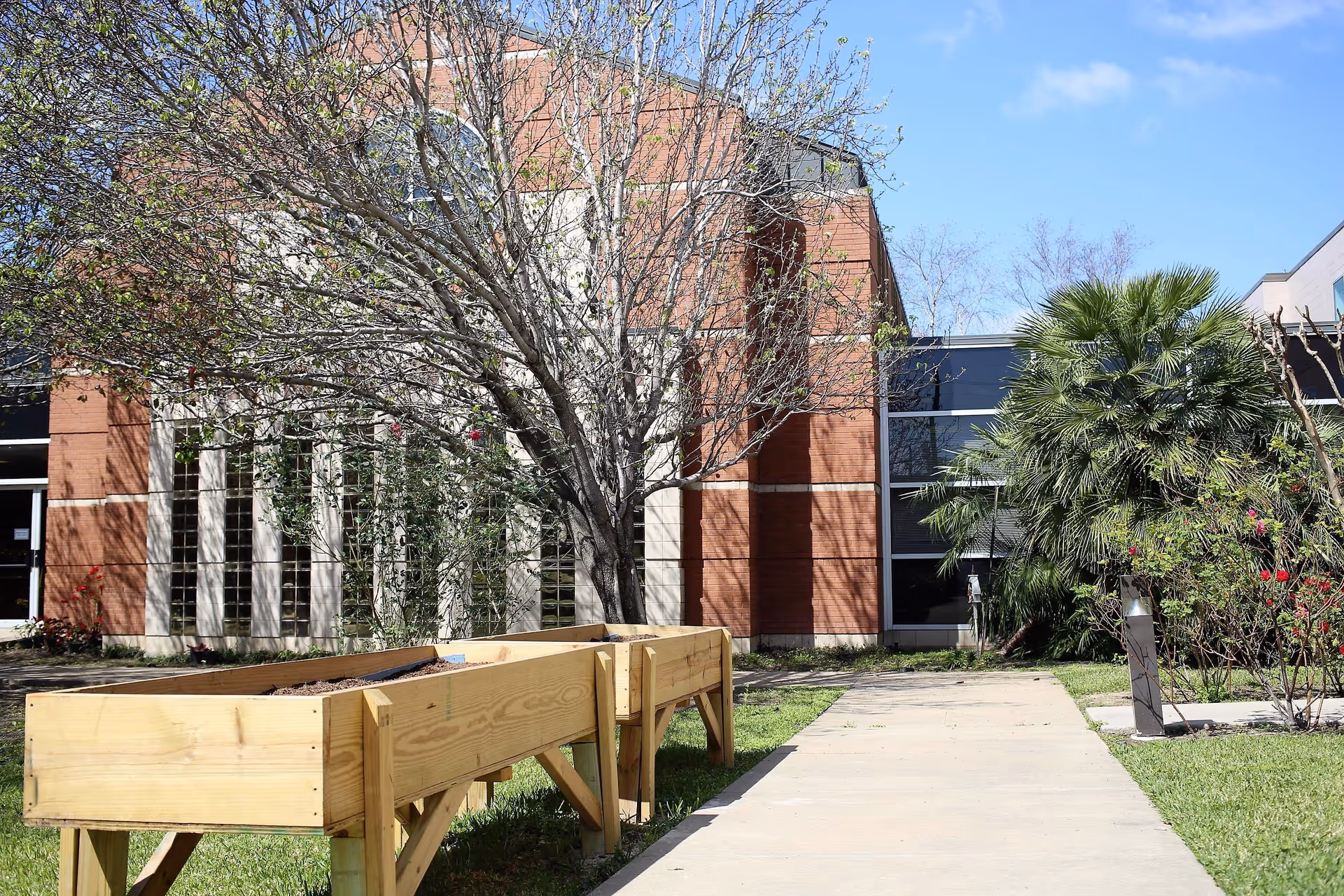 Outdoor garden area at St. Dominic Village featuring a wooden raised garden bed, a concrete walkway, a leafless tree, palm trees, and a brick building with large windows under a clear blue sky.