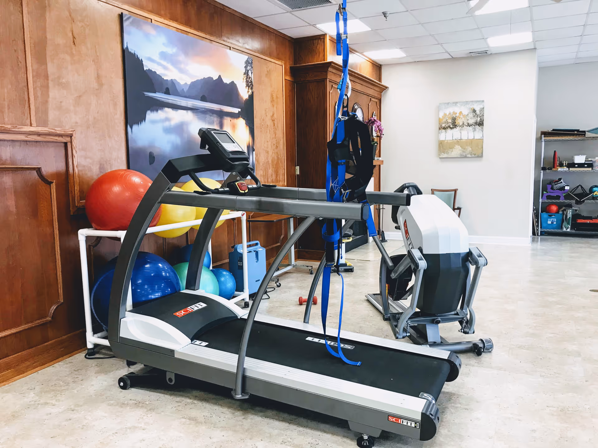 Indoor exercise room with a treadmill and a rowing machine. There are colorful exercise balls stored on a rack against a wooden paneled wall with a large landscape painting. The room has light-colored flooring and walls with a small painting and shelves in the background.