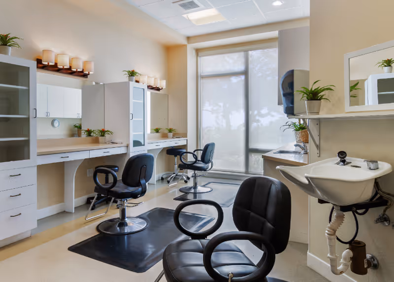A well-lit salon area with three black salon chairs positioned in front of large mirrors and white cabinetry. The room has a large window with a translucent shade, several potted plants on shelves and counters, and a white sink with a faucet on the right side.