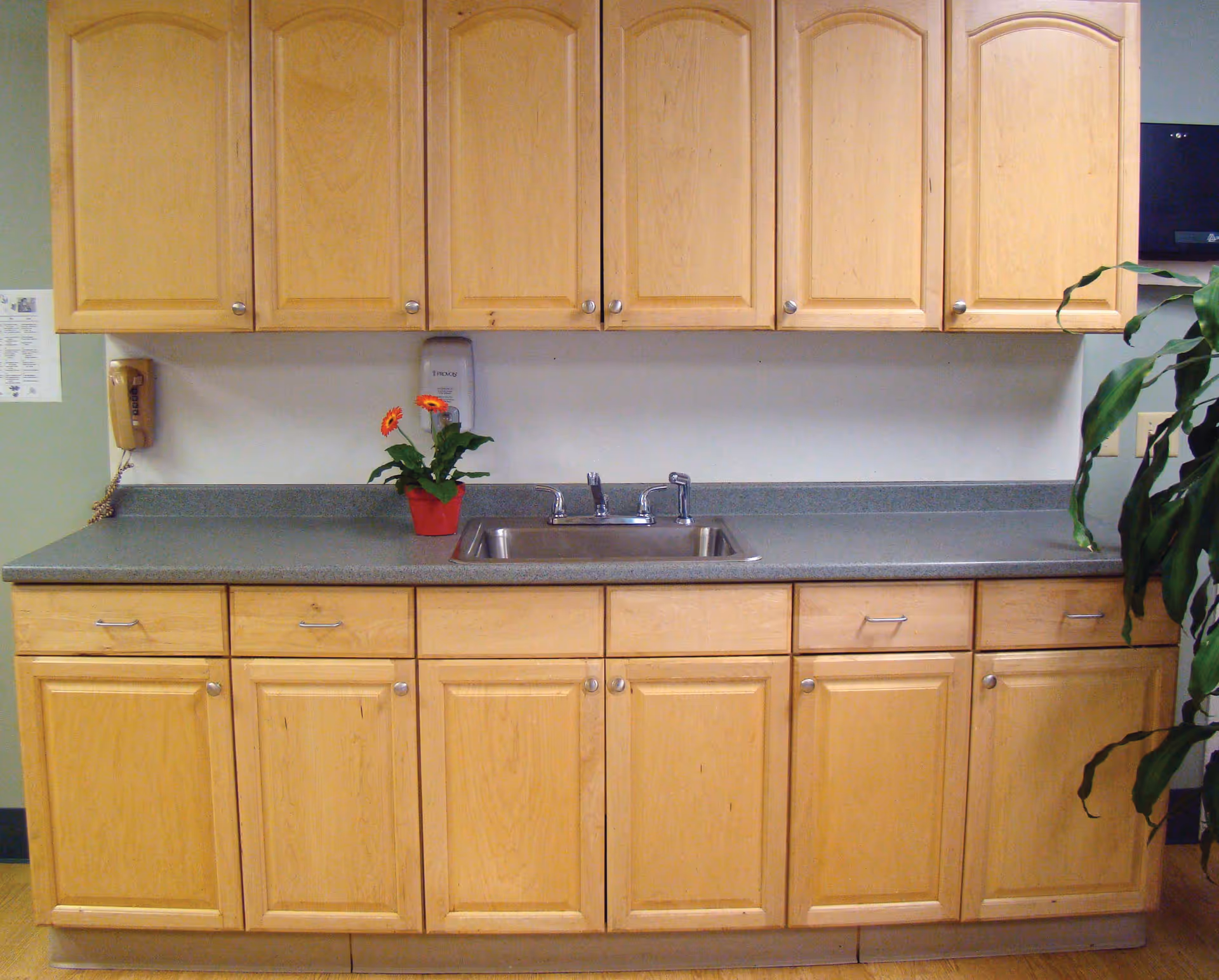 A kitchenette area with light wood cabinets above and below a gray countertop. There is a small stainless steel sink with a faucet in the center of the countertop. A small red pot with orange flowers is placed on the left side of the countertop. A beige wall-mounted telephone is on the left wall, and a green leafy plant is partially visible on the right side.