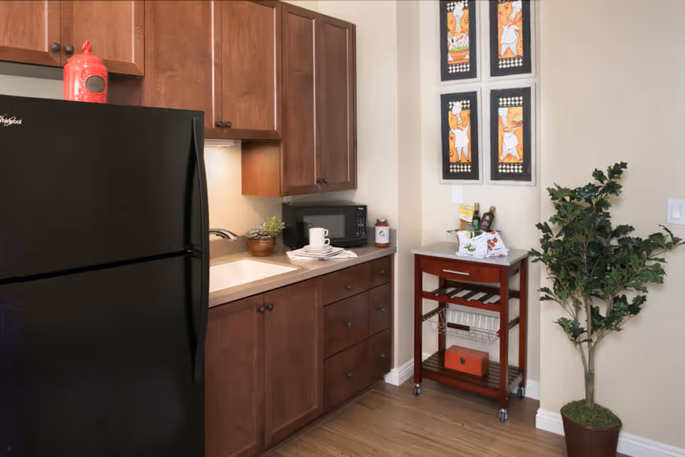 Small kitchen area with a black refrigerator, wood cabinets, a countertop sink and microwave, a red rolling cart, and a potted plant.