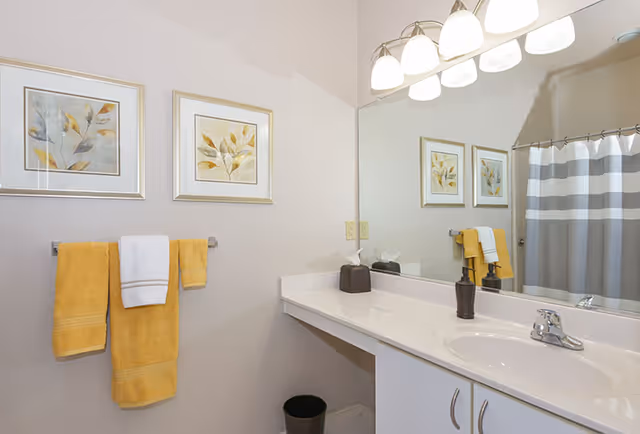 A clean bathroom with a white countertop and sink, a large mirror above the sink, and a silver faucet. Two framed botanical prints hang on the wall above a towel rack holding two yellow towels and one white towel. A gray and white striped shower curtain is visible in the background. A small black trash bin and a soap dispenser are on the countertop.