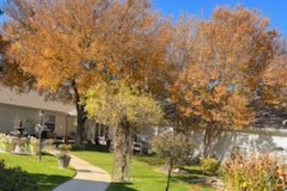 A sunny outdoor garden area with a curved concrete pathway, green grass, various trees with autumn-colored leaves, and a white building in the background.