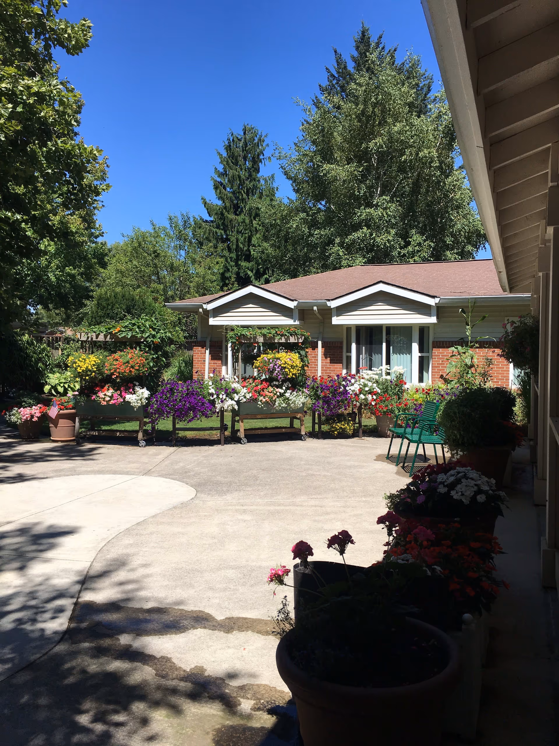 Outdoor courtyard area at Powell Valley Assisted Living and Memory Care featuring a paved walkway surrounded by numerous colorful flower pots and planters. There is a single-story brick building with white trim in the background, green chairs on the right side, and tall trees under a clear blue sky.