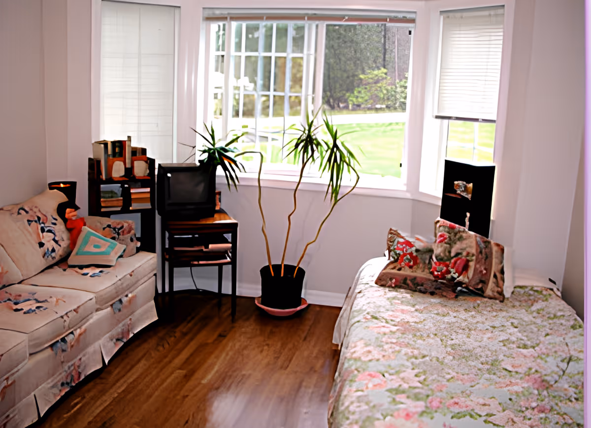 A cozy room with a floral-patterned couch on the left and a bed with floral bedding on the right. Between them is a small wooden table with a vintage TV and some books. A tall potted plant is placed in front of a large window with white blinds, showing a green outdoor area.