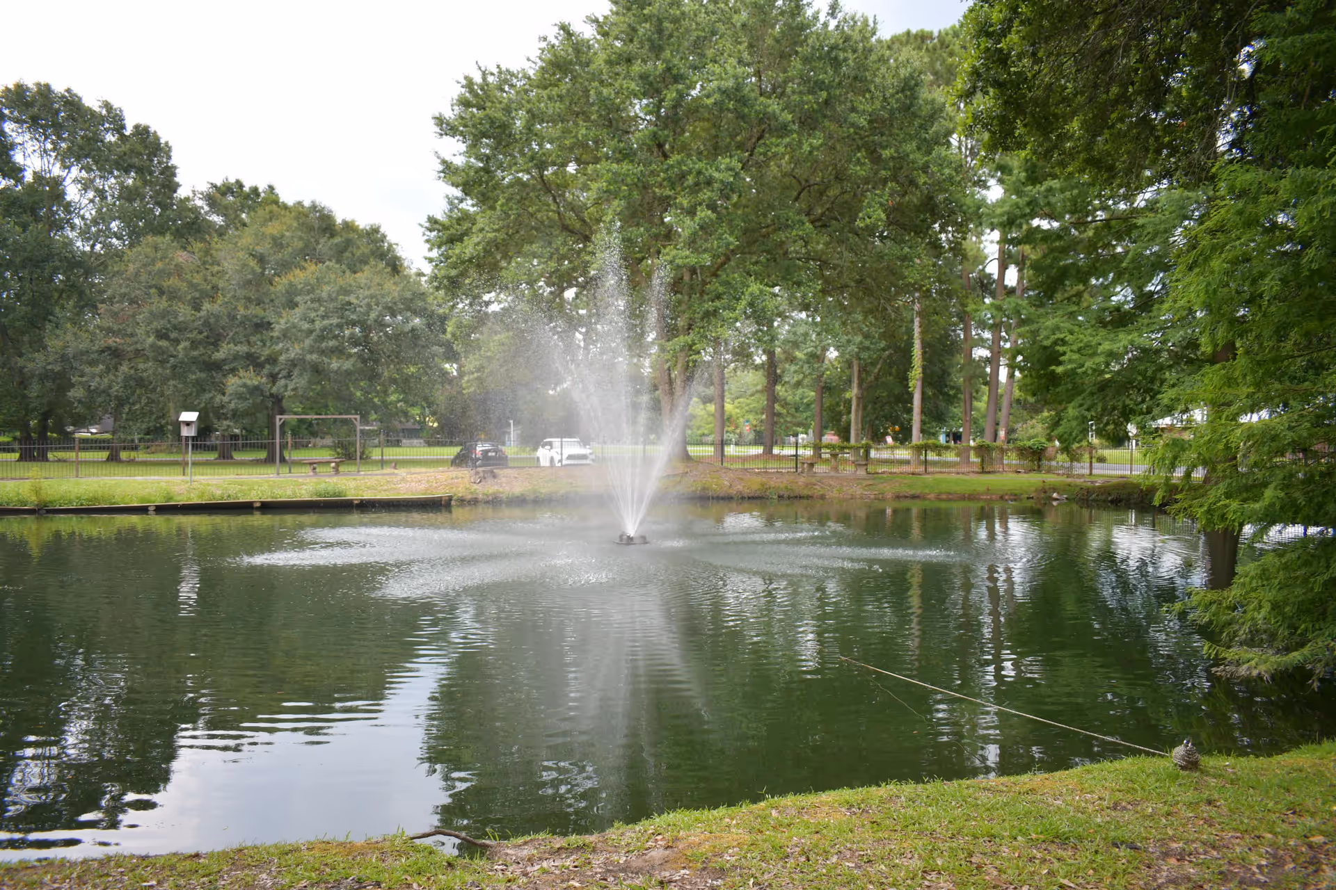 A pond with a central water fountain surrounded by trees, grass, and a fence in a park-like setting.