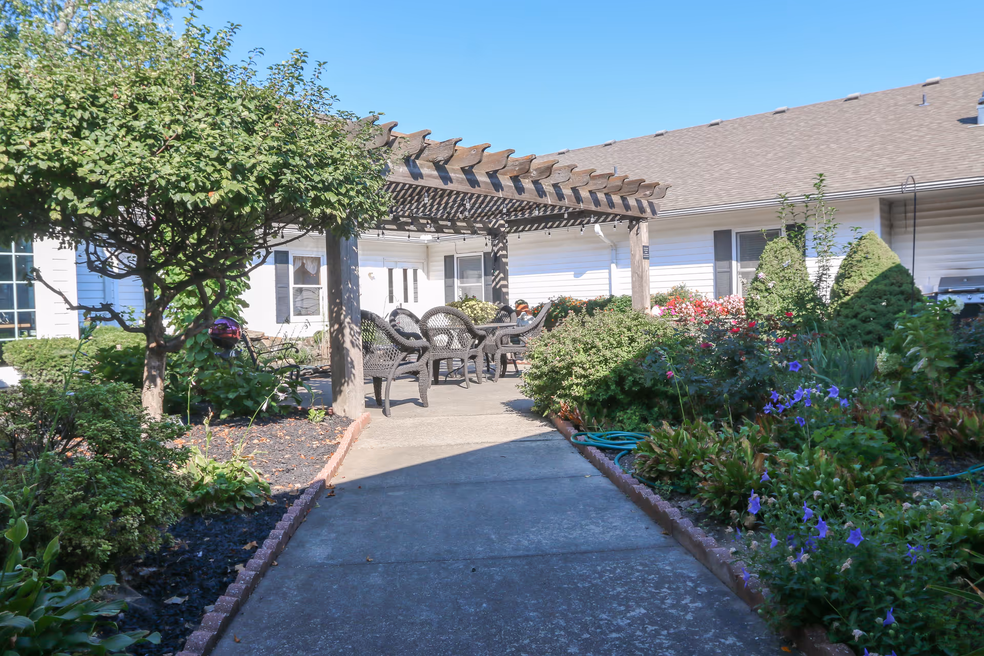 Outdoor garden area at Vintage Park At Louisburg featuring a concrete pathway leading to a shaded seating area with a wooden pergola. The garden is lush with various green shrubs, flowering plants, and small trees under a clear blue sky.