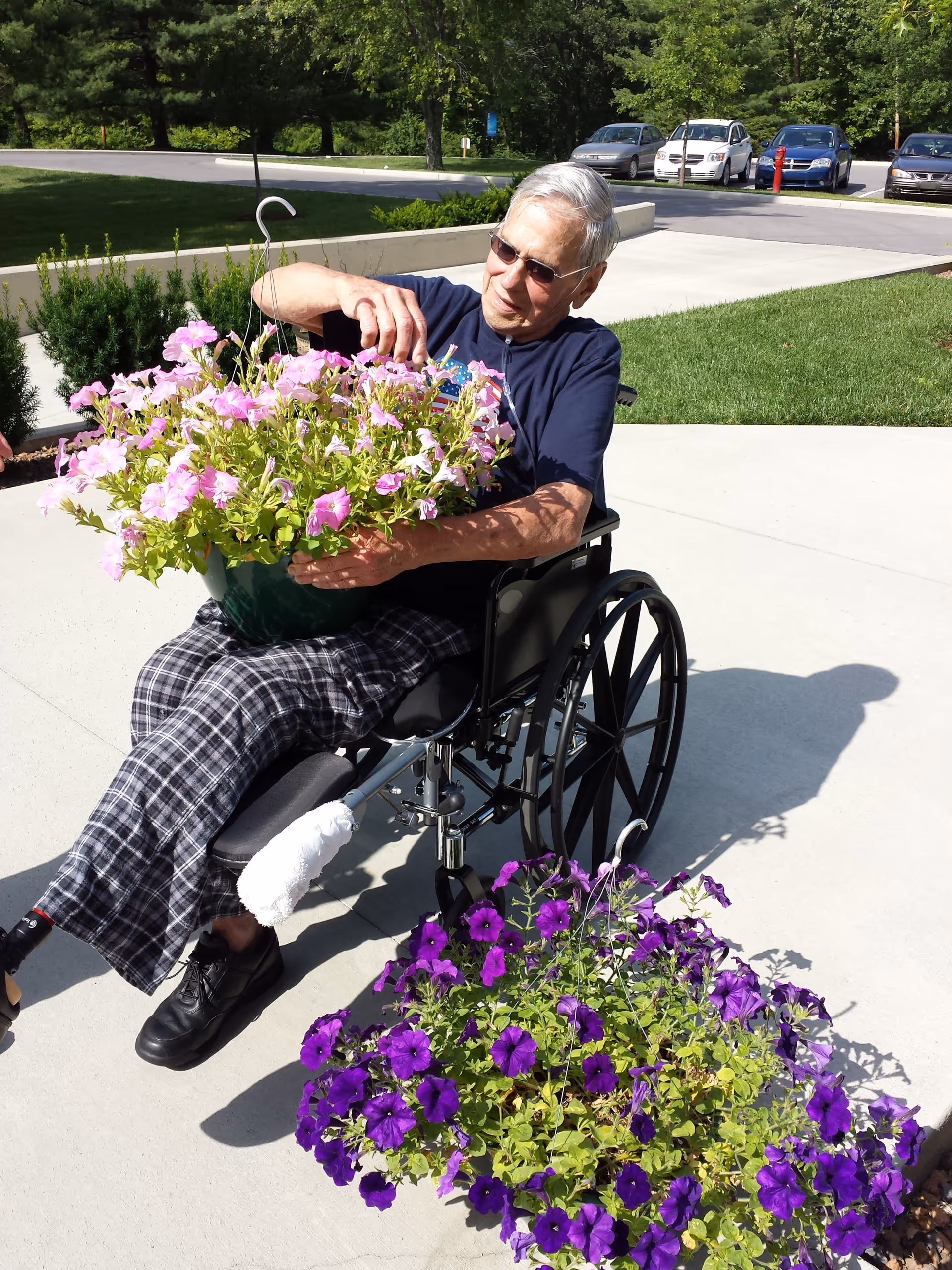 An elderly man in a wheelchair is outdoors on a sunny day, holding a hanging basket filled with pink flowers. Another hanging basket with purple flowers is placed on the ground nearby. The background shows a parking area with several cars and green trees.