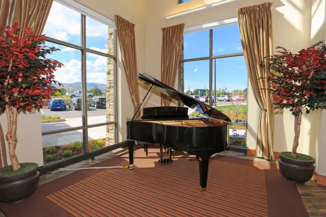 A black grand piano placed on a striped area rug in a bright room with large windows and beige curtains. Two large potted plants with red leaves flank the piano. Outside the windows, a parking lot and mountains are visible under a blue sky with some clouds.
