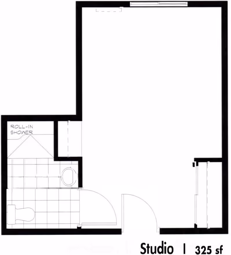 Architectural floor plan of a studio apartment with a roll-in shower bathroom, toilet, and an open living/sleeping area. The total area is 325 square feet.