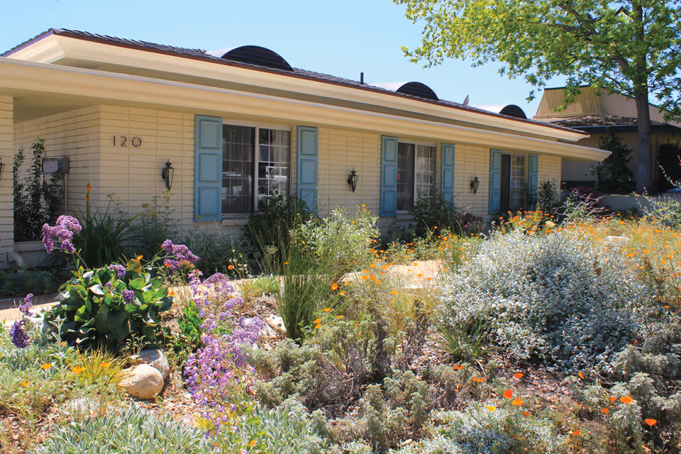 Exterior view of a single-story building with light yellow brick walls and blue window shutters. The building is surrounded by a garden with various colorful flowers and shrubs under a clear blue sky.
